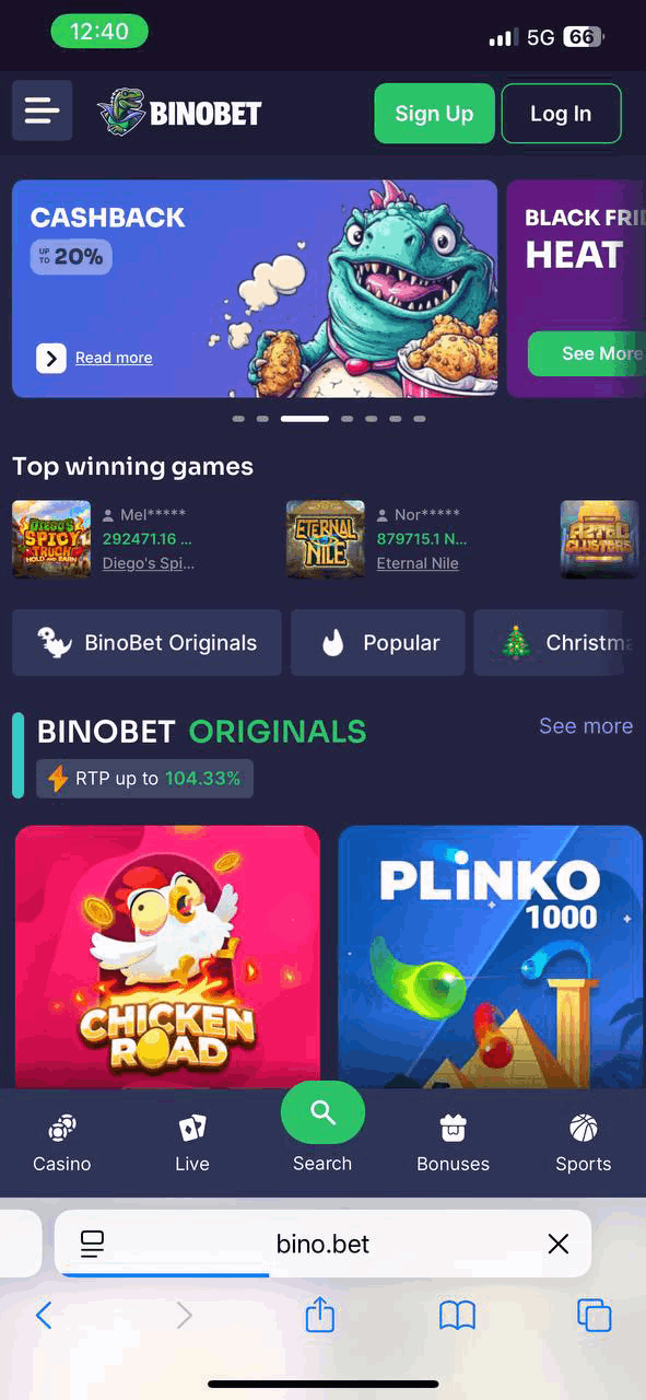 BinoBet Casino